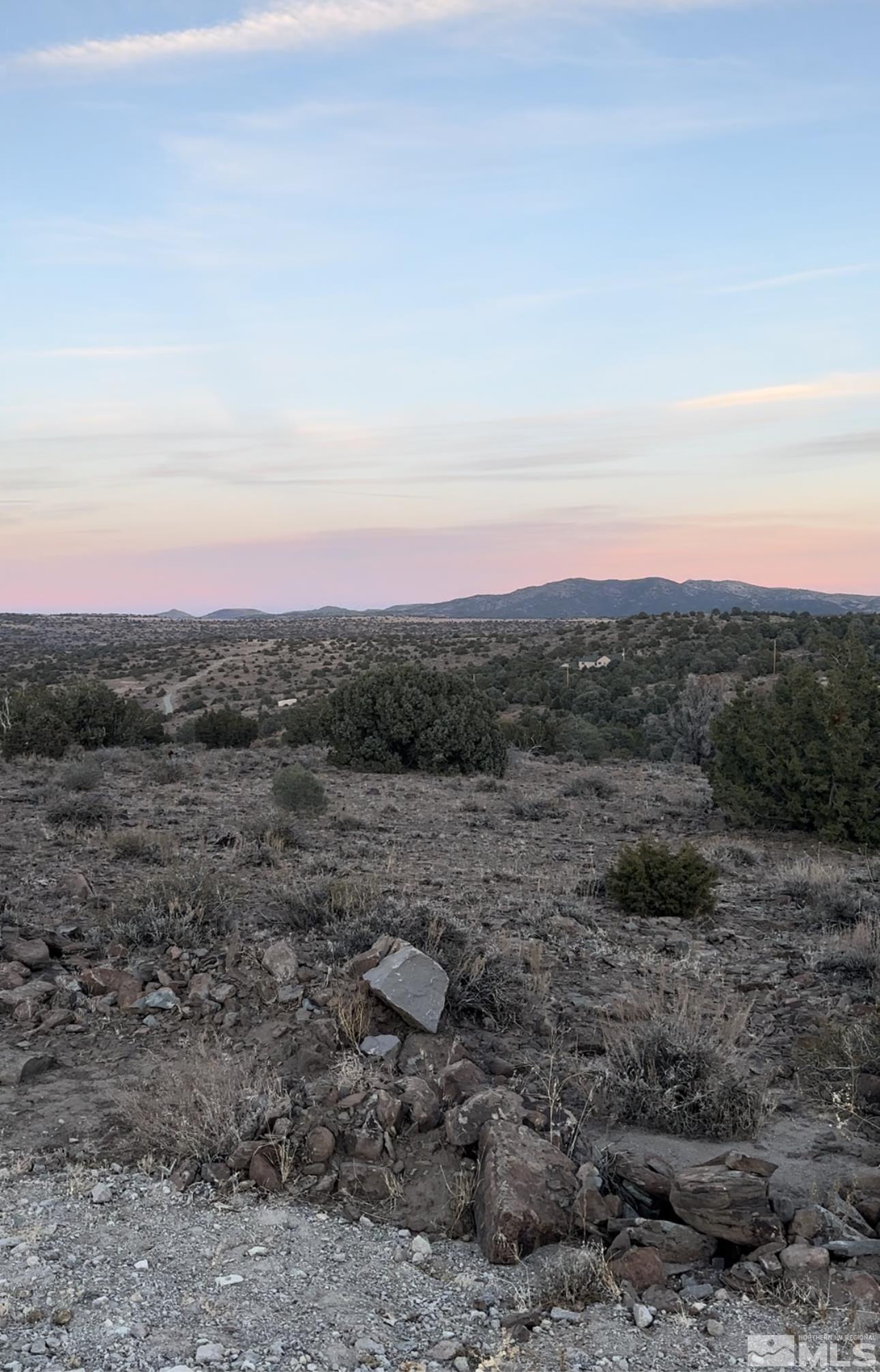 3870 Fryingpan Road Reno, NV 89521 - Photo 11 of 19 a view of a field