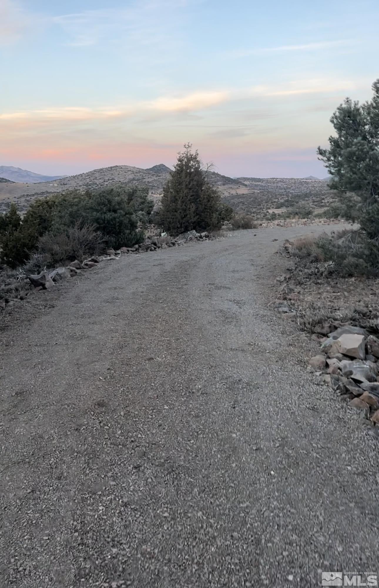 3870 Fryingpan Road Reno, NV 89521 - Photo 14 of 19 a view of a field with trees in background