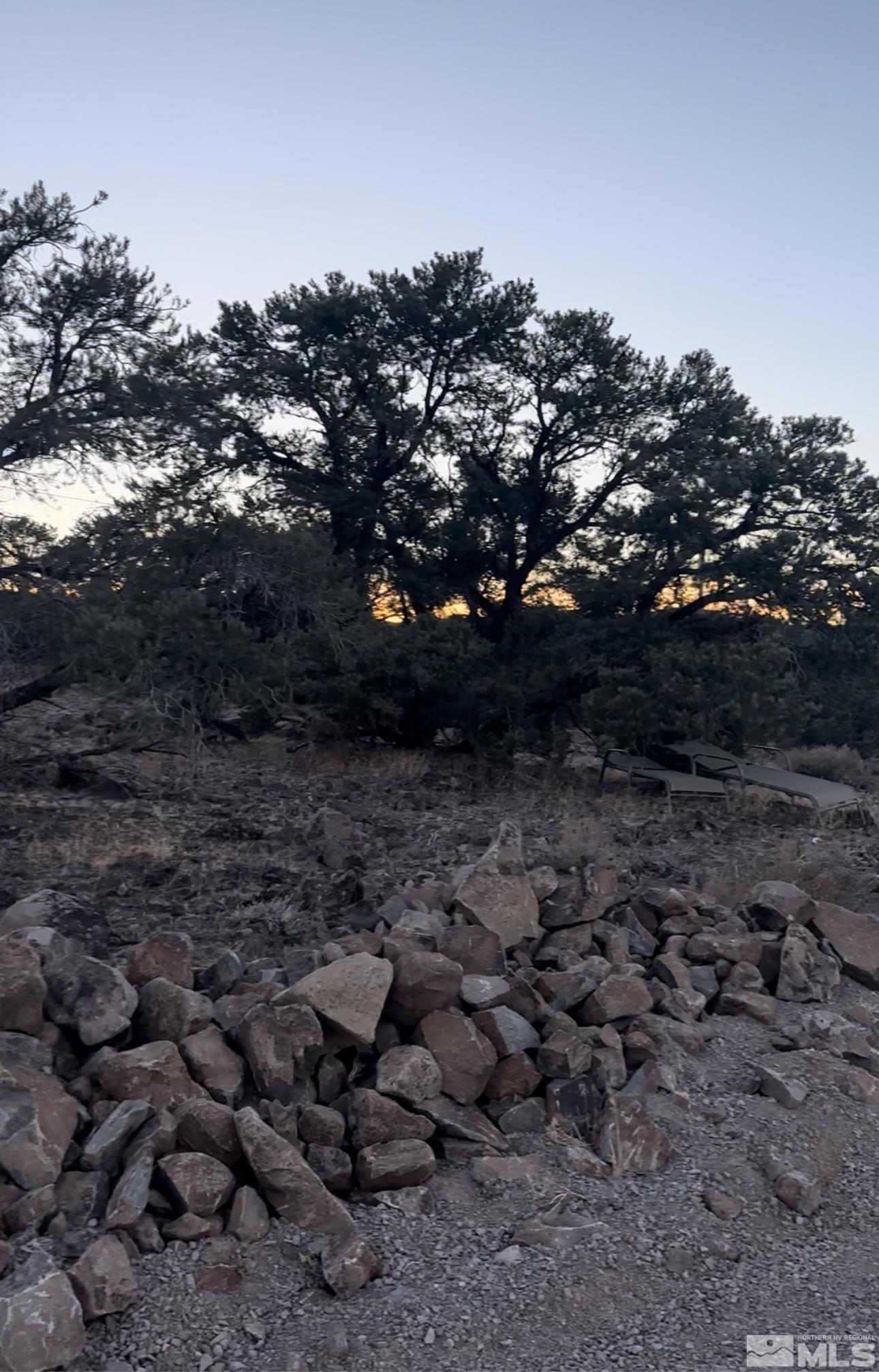 3870 Fryingpan Road Reno, NV 89521 - Photo 6 of 19 a view of a large tree