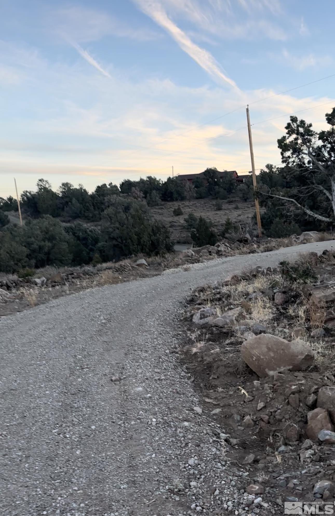 3870 Fryingpan Road Reno, NV 89521 - Photo 7 of 19 a view of a dry field with trees
