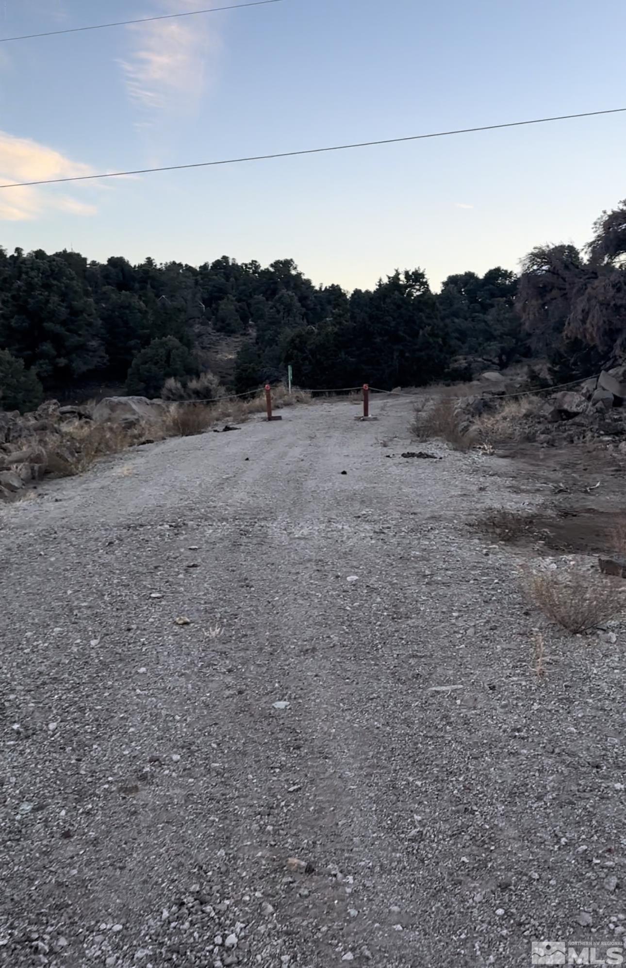 3870 Fryingpan Road Reno, NV 89521 - Photo 8 of 19 a view of a dry field with lots of bushes