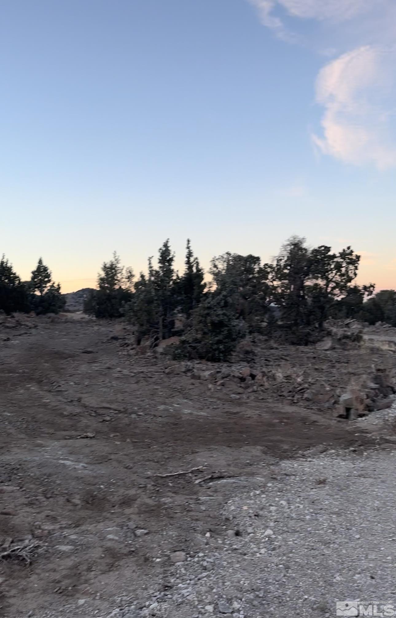 3870 Fryingpan Road Reno, NV 89521 - Photo 9 of 19 a view of a dry yard with trees
