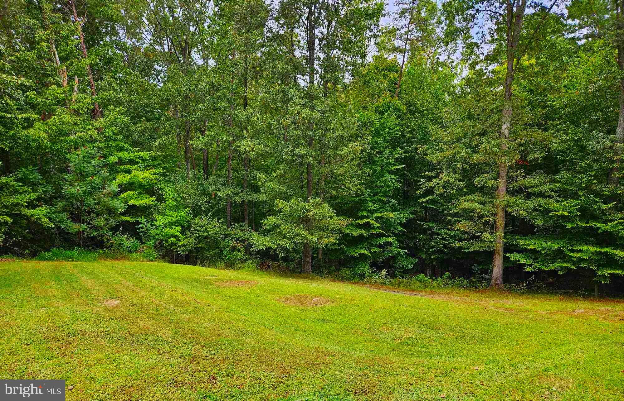 42342 Riva Ridge Drive Hollywood, MD 20636 - Photo 6 of 35 Lucious Treeline