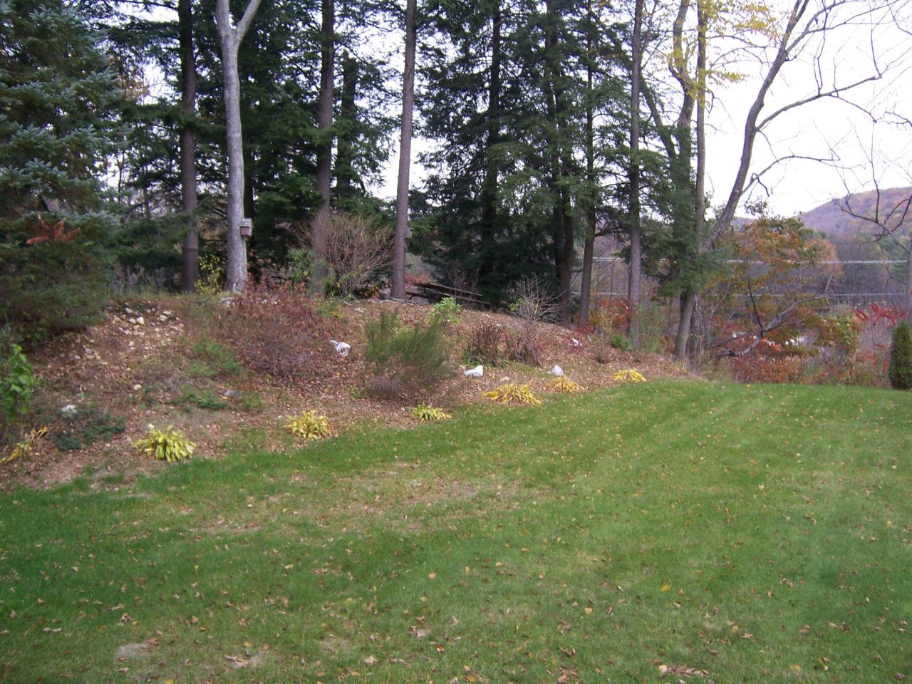 234 Partridge Road Pittsfield, MA 01201 - Photo 2 of 4 BackYard1