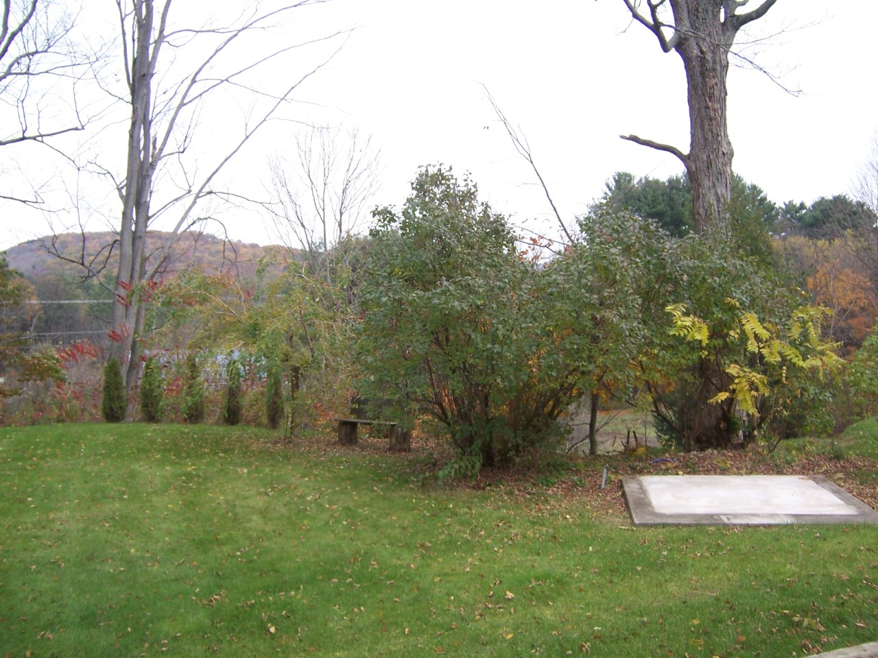 234 Partridge Road Pittsfield, MA 01201 - Photo 3 of 4 Backyard2