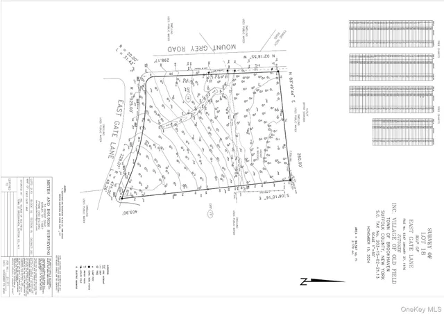 a picture of a person on a street