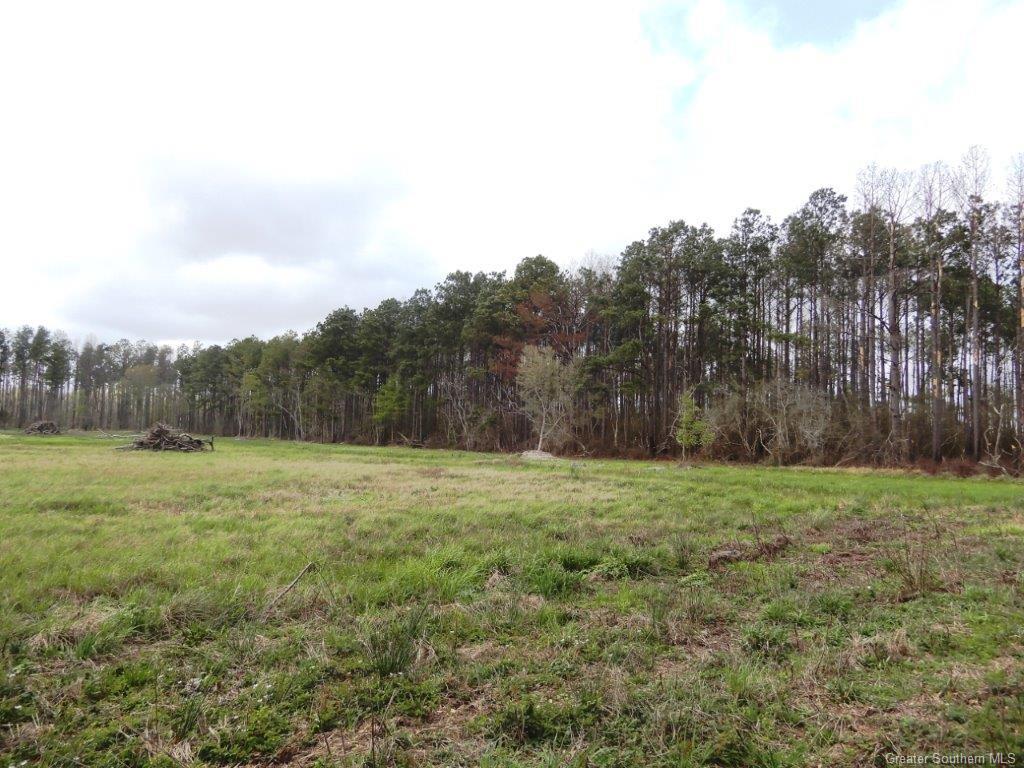 Gray Road Vinton, LA 70668 - Photo 1 of 6