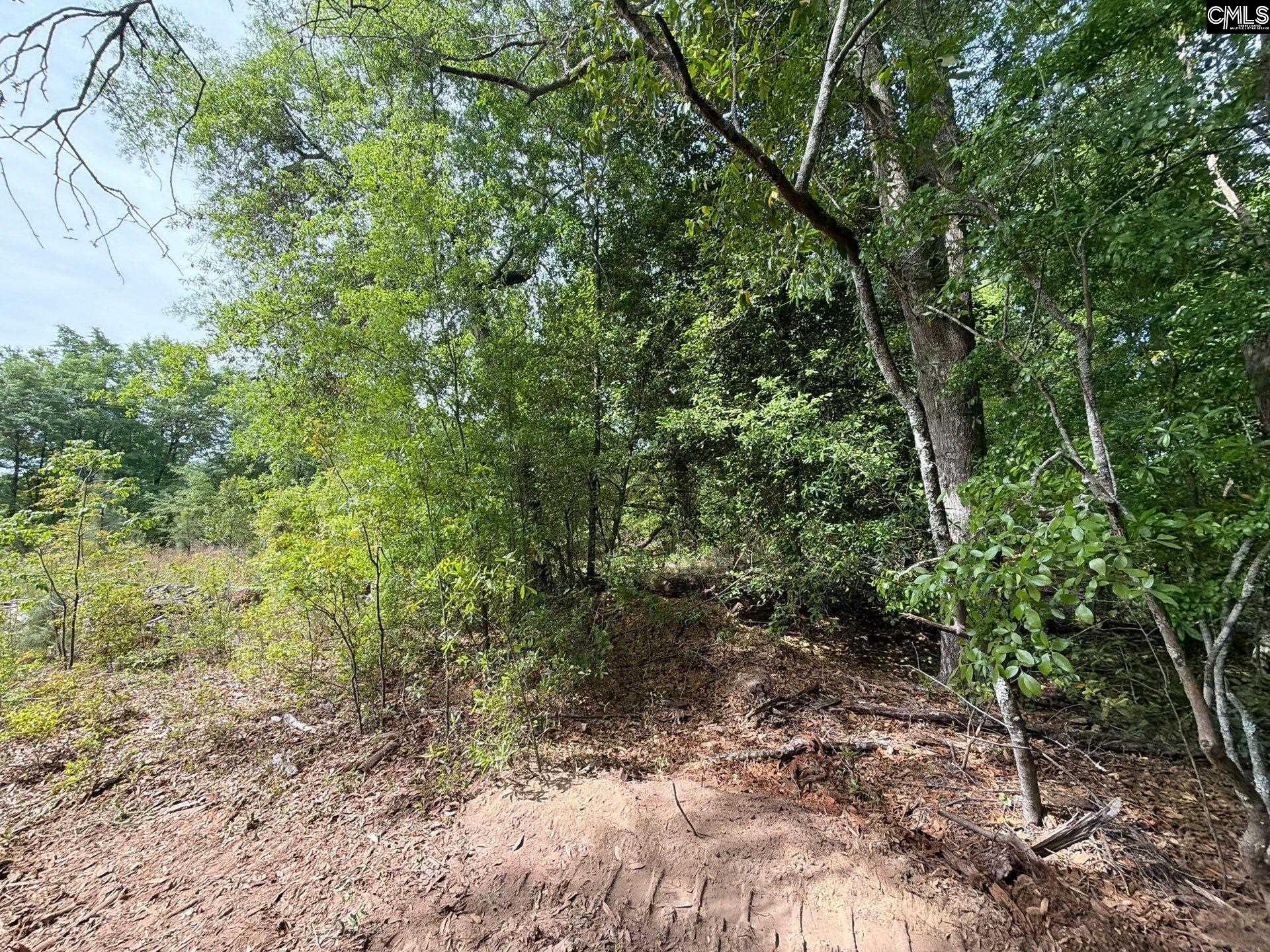 2 Rogers Cemetery Road Aiken, SC 29801 - Photo 9 of 26