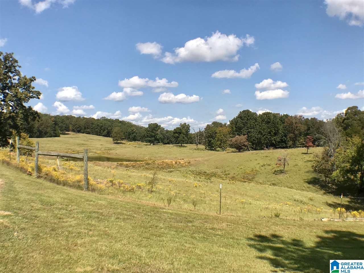 240 Stephens Drive Montevallo, AL 35115 - Photo 2 of 19
