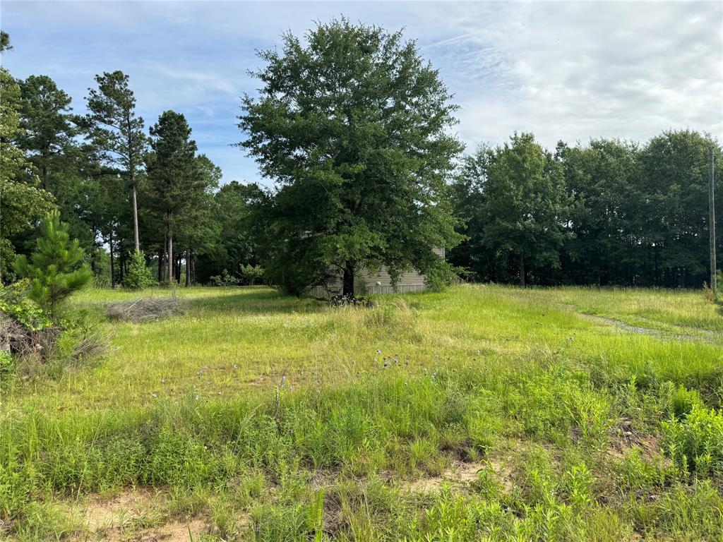 10015 Woolworth Road Keithville, LA 71047 - Photo 19 of 19