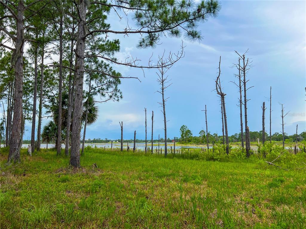 2332 Mitchell Island Road Deltona, FL 32738 - Photo 6 of 18