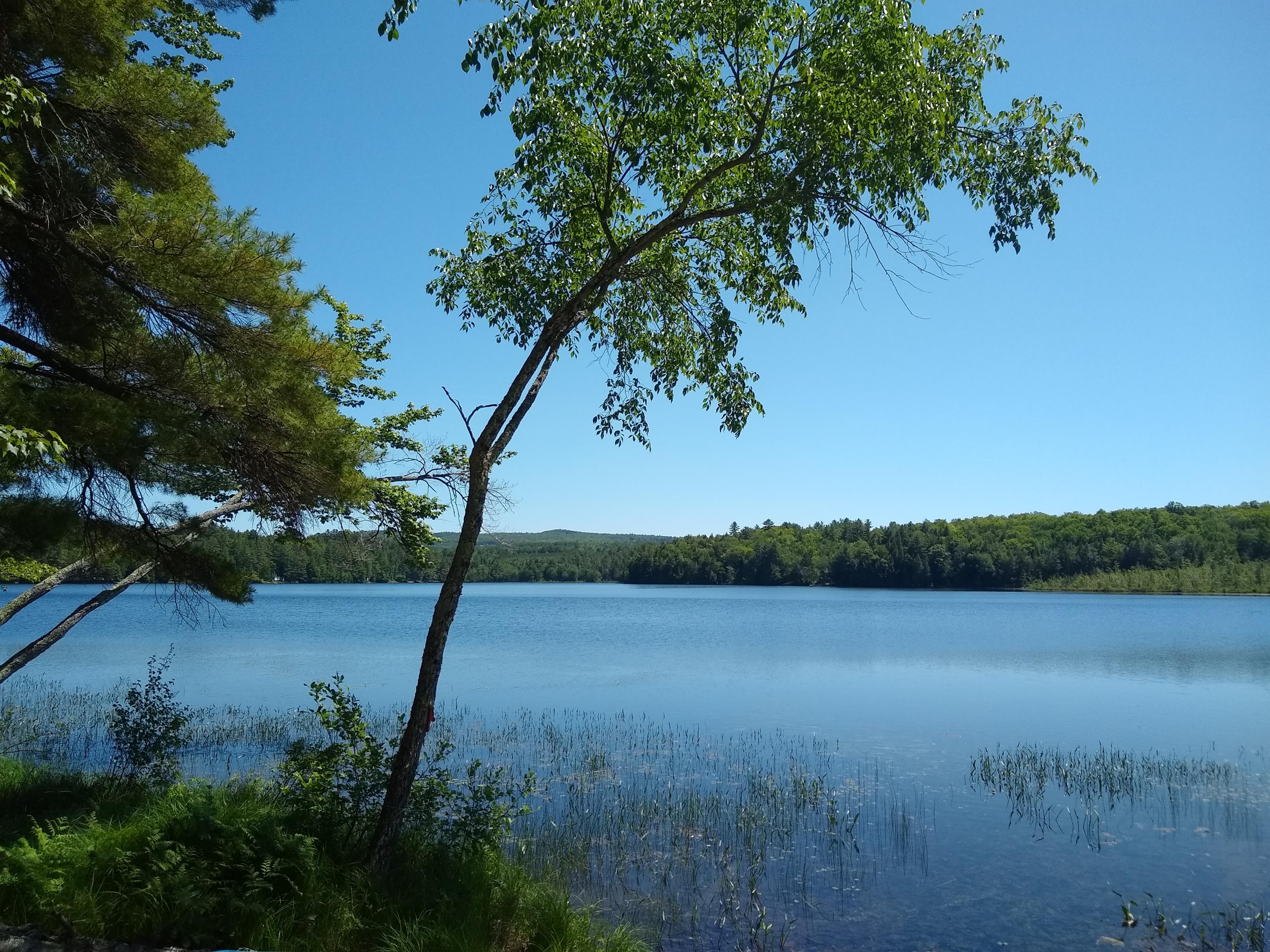 93 Pease Pond Road Wilton, ME 04294 - Photo 2 of 15 IMG_20200616_141608936