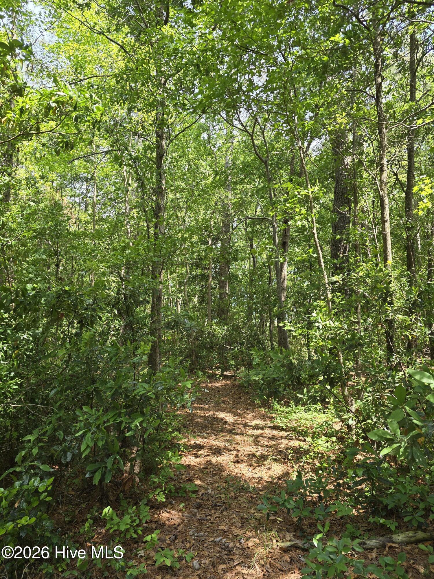 1140 Tart Road Clarkton, NC 28433 - Photo 25 of 25 20260505_142309
