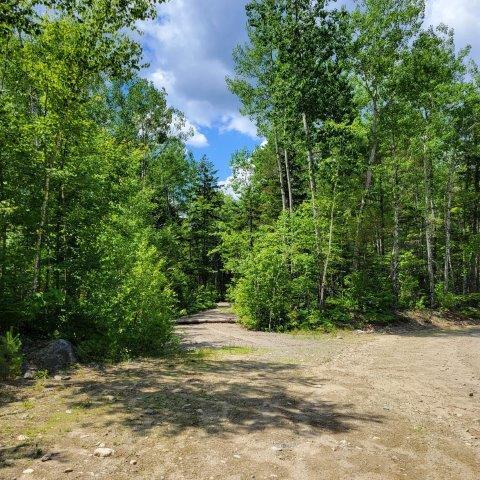 T4 Wadleigh Pond Road Millinocket, ME 04462 - Photo 15 of 38 Driveway entrance