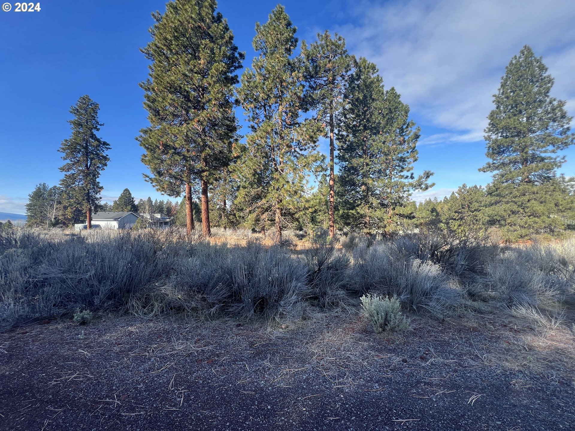Shoshoni Way Chiloquin, OR 97624 - Photo 13 of 47 a view of a dry yard with lots of green space