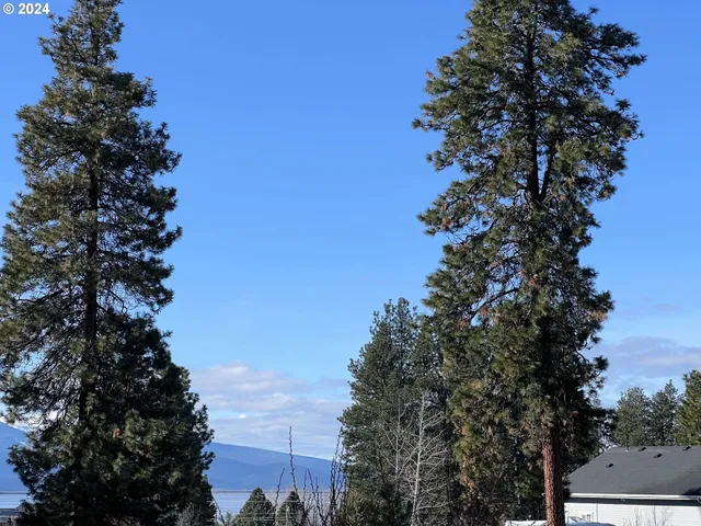 a view of a lake with a building in the background