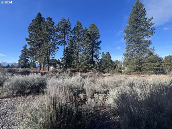$40,000 | Shoshoni Way, Chiloquin, OR 97624