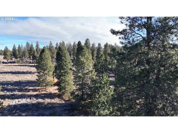 $40,000 | Shoshoni Way, Chiloquin, OR 97624