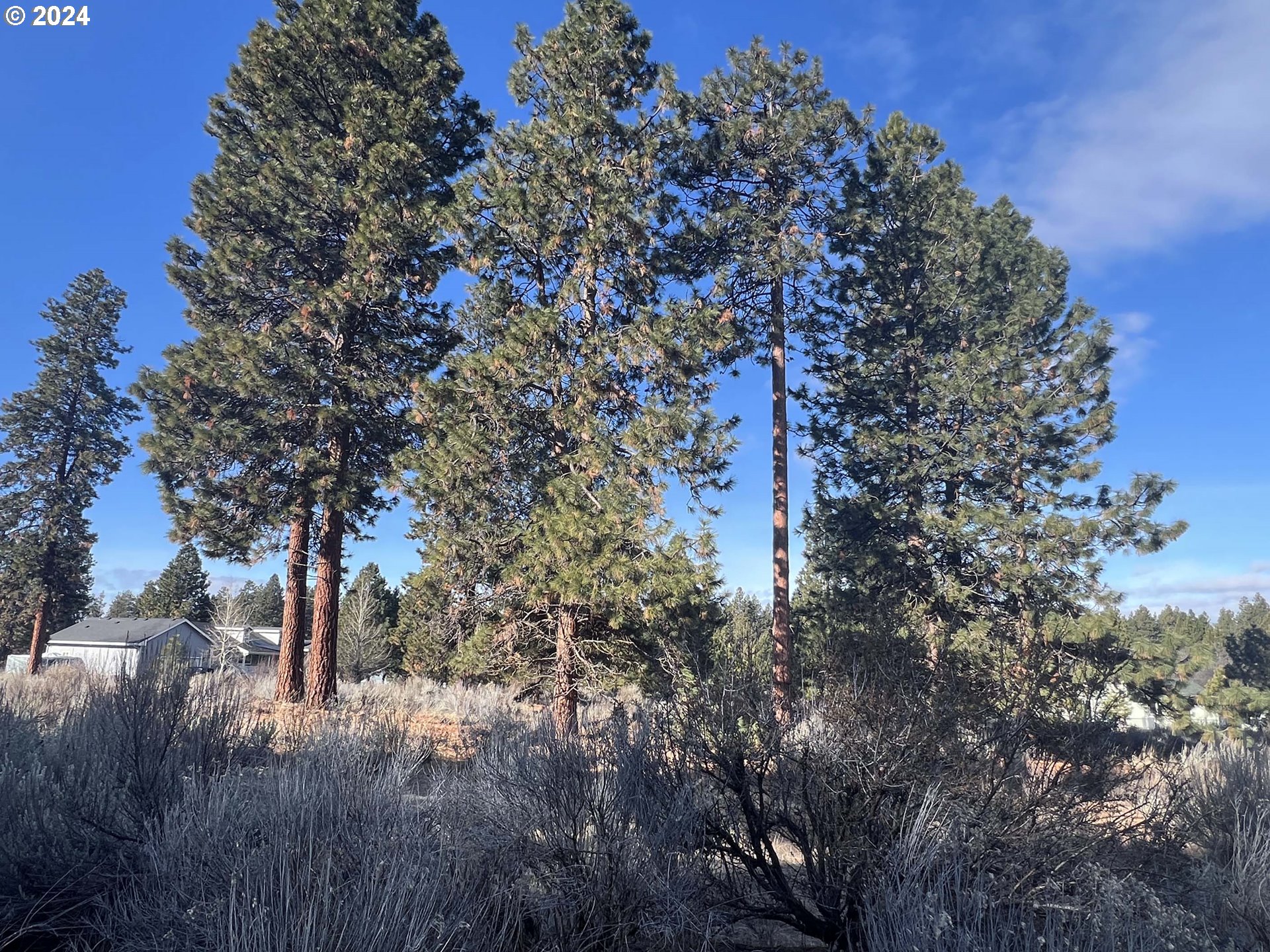 Shoshoni Way Chiloquin, OR 97624 - Photo 22 of 47