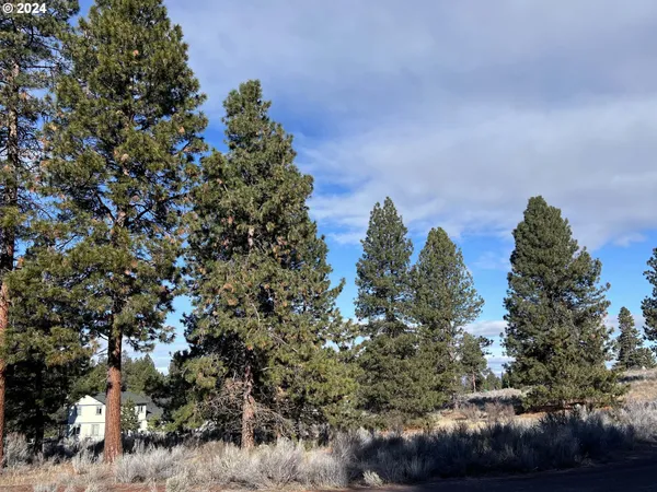 $40,000 | Shoshoni Way, Chiloquin, OR 97624