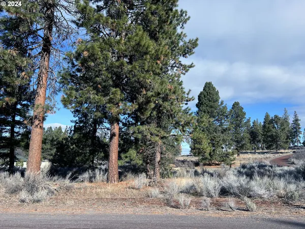 $40,000 | Shoshoni Way, Chiloquin, OR 97624