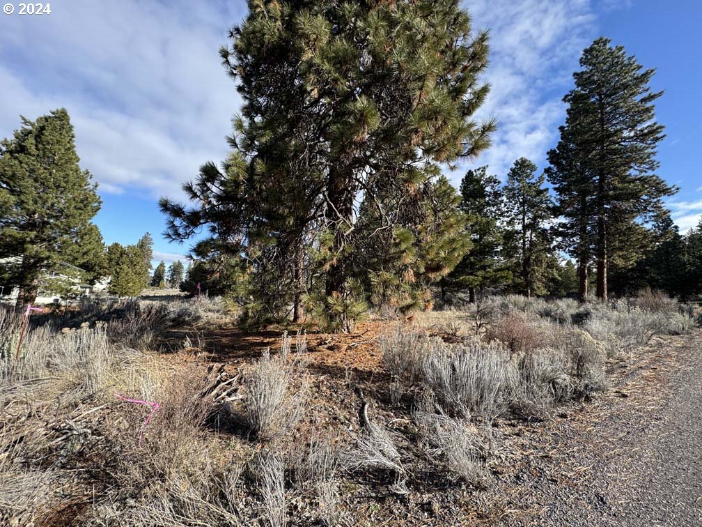 Shoshoni Way Chiloquin, OR 97624 - Photo 26 of 47 a view of a forest covered with trees