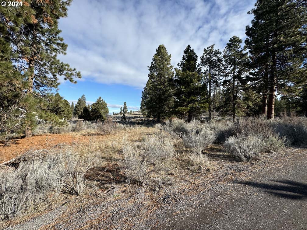 Shoshoni Way Chiloquin, OR 97624 - Photo 28 of 47 a view of dirt field and trees
