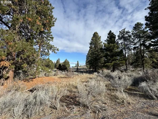 $40,000 | Shoshoni Way, Chiloquin, OR 97624