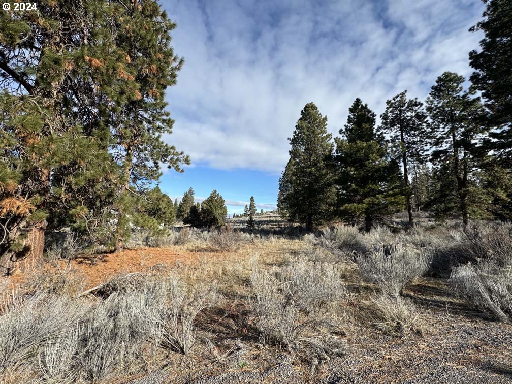 Shoshoni Way Chiloquin, OR 97624 - Photo 31 of 47 a view of a dry field with trees in the background