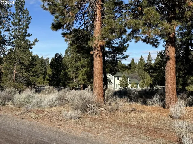 a view of a covered with trees