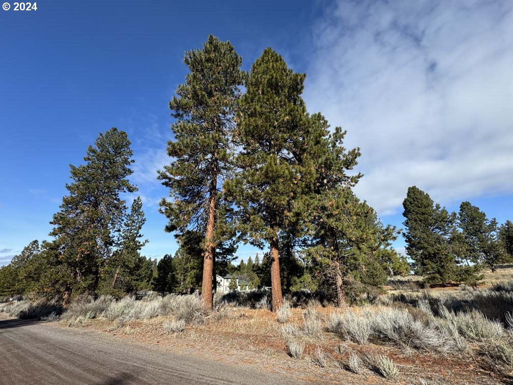 Shoshoni Way Chiloquin, OR 97624 - Photo 37 of 47 a view of a yard with a tree
