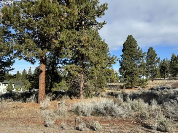 $40,000 | Shoshoni Way, Chiloquin, OR 97624