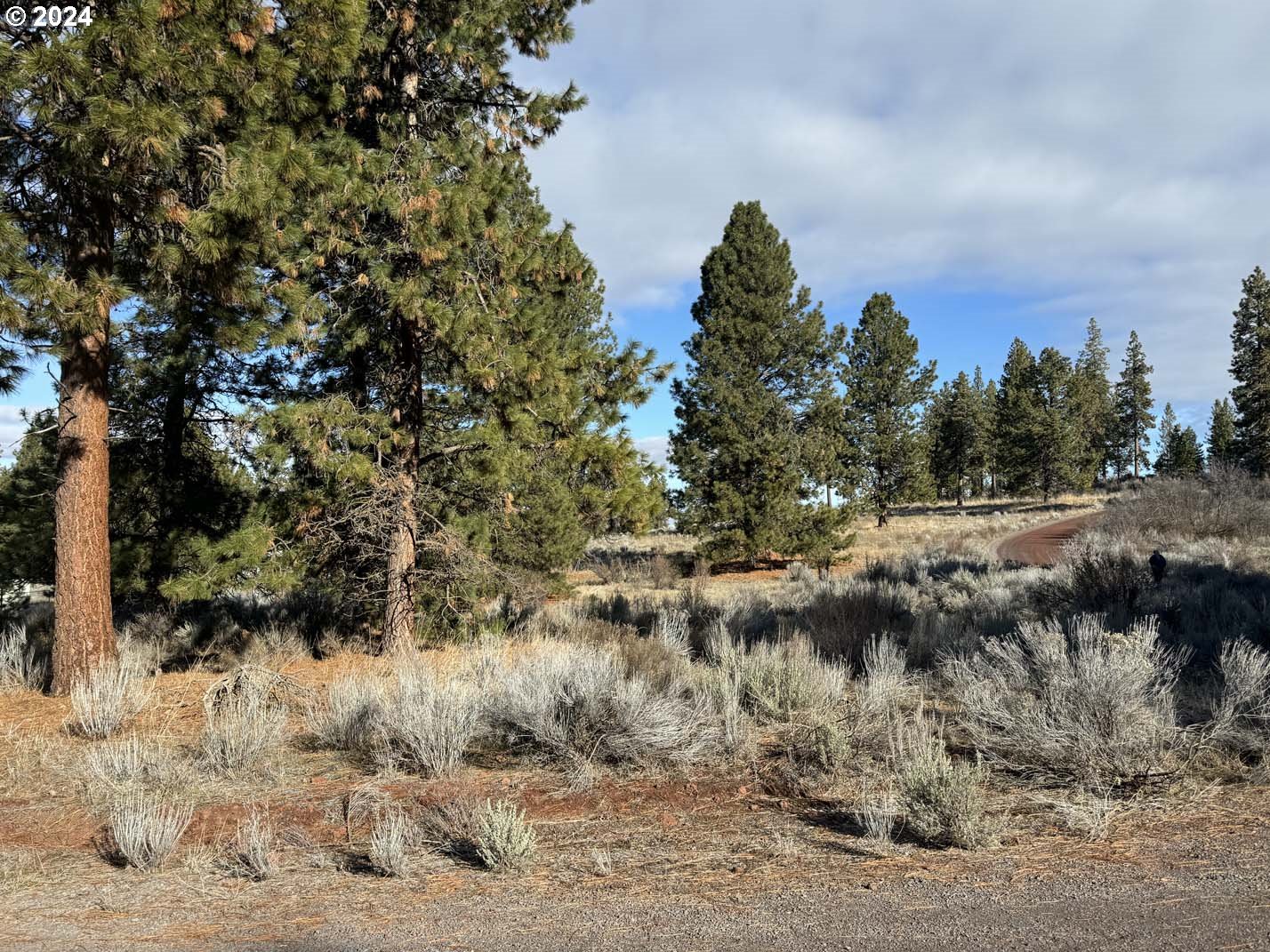 Shoshoni Way Chiloquin, OR 97624 - Photo 39 of 47 a view of a covered with trees
