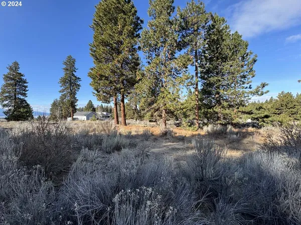 $40,000 | Shoshoni Way, Chiloquin, OR 97624