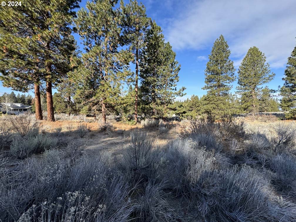 Shoshoni Way Chiloquin, OR 97624 - Photo 41 of 47 a view of a yard in a forest
