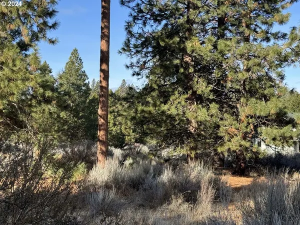 $40,000 | Shoshoni Way, Chiloquin, OR 97624