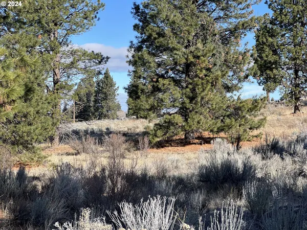 $40,000 | Shoshoni Way, Chiloquin, OR 97624