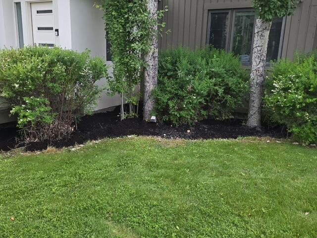 823 Buttercup Road Blaine County, ID 83333 - Photo 2 of 29 Right of front door