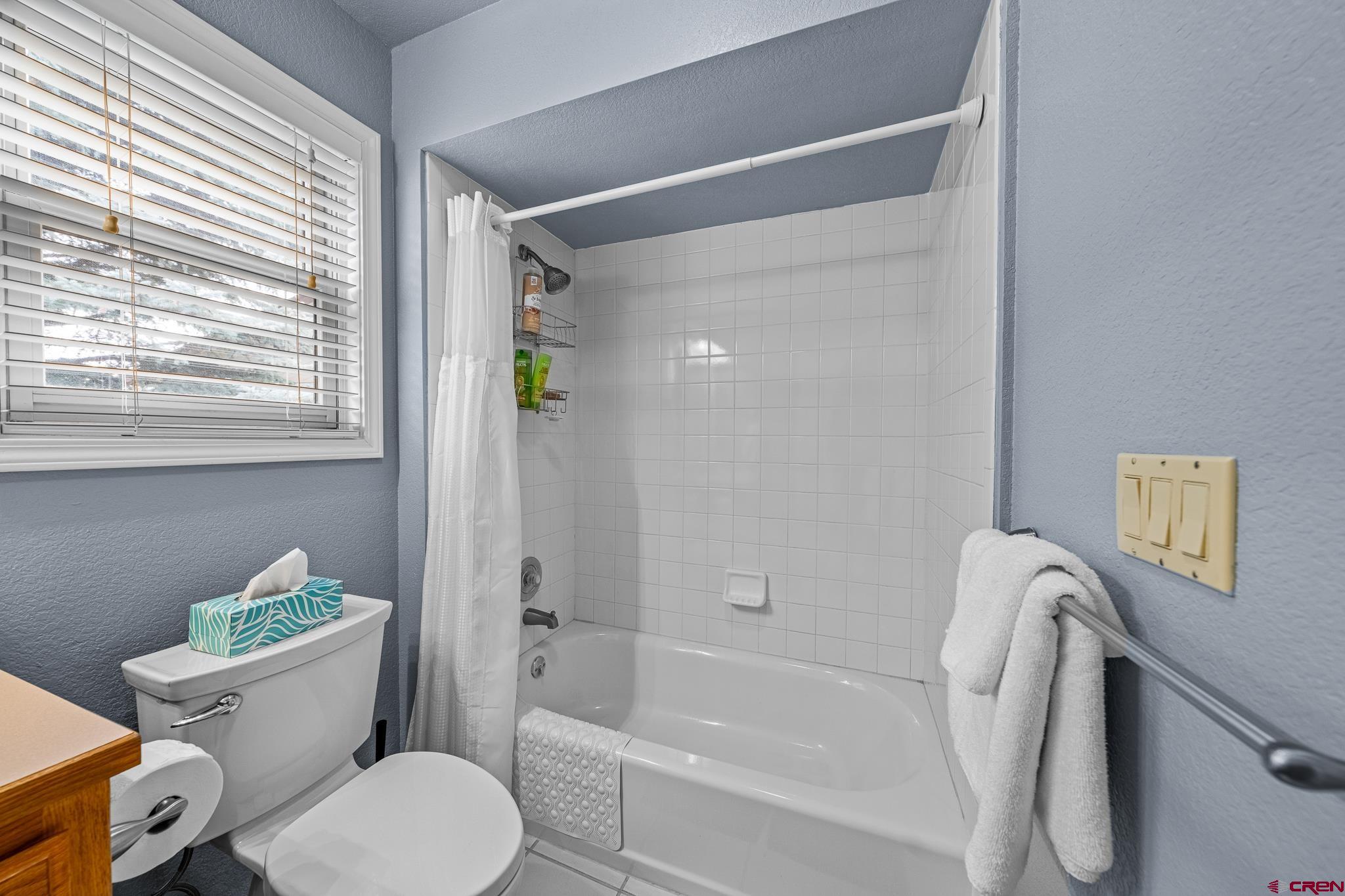 780 Waterfall Lane Durango, CO 81301 - Photo 25 of 35 a bathroom with a toilet and a bathtub