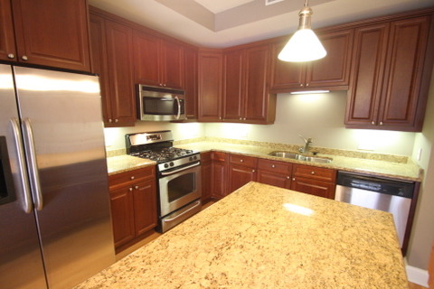 1021 Peterson Avenue, Unit 207 Park Ridge, IL 60068 - Photo 2 of 22