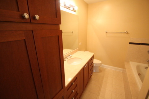 1021 Peterson Avenue, Unit 207 Park Ridge, IL 60068 - Photo 15 of 22