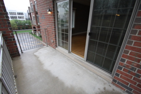1021 Peterson Avenue, Unit 207 Park Ridge, IL 60068 - Photo 20 of 22