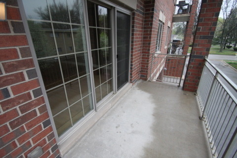 1021 Peterson Avenue, Unit 207 Park Ridge, IL 60068 - Photo 21 of 22