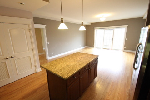 1021 Peterson Avenue, Unit 207 Park Ridge, IL 60068 - Photo 4 of 22