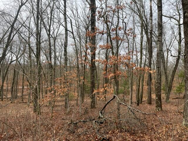 5196 West Rd Baldwin Mi 49304 Road Irons, MI 49644 - Photo 13 of 20 IMG_0116