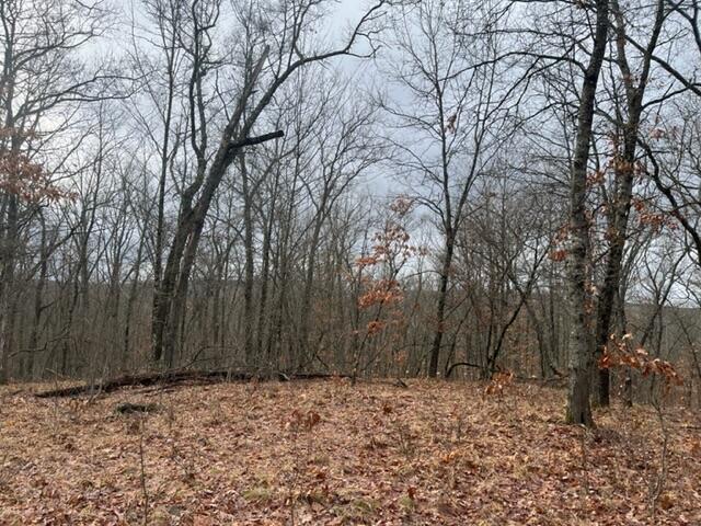 5196 West Rd Baldwin Mi 49304 Road Irons, MI 49644 - Photo 15 of 20 IMG_0119