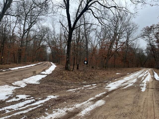 5196 West Rd Baldwin Mi 49304 Road Irons, MI 49644 - Photo 2 of 20 IMG_0096
