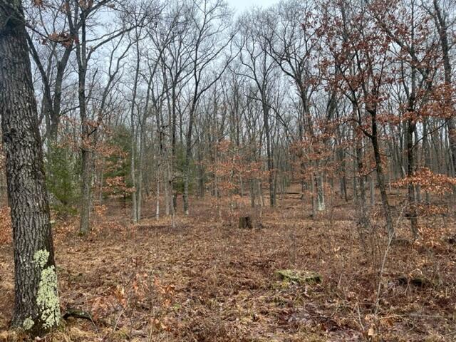 5196 West Rd Baldwin Mi 49304 Road Irons, MI 49644 - Photo 5 of 20 IMG_0099