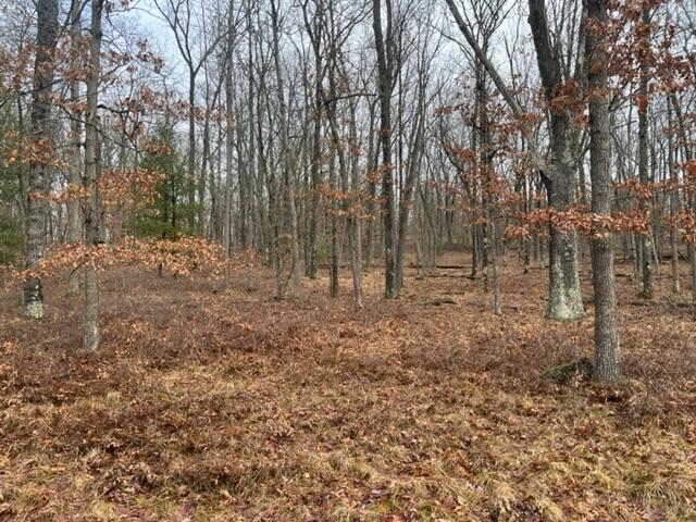 5196 West Rd Baldwin Mi 49304 Road Irons, MI 49644 - Photo 10 of 20 IMG_0112
