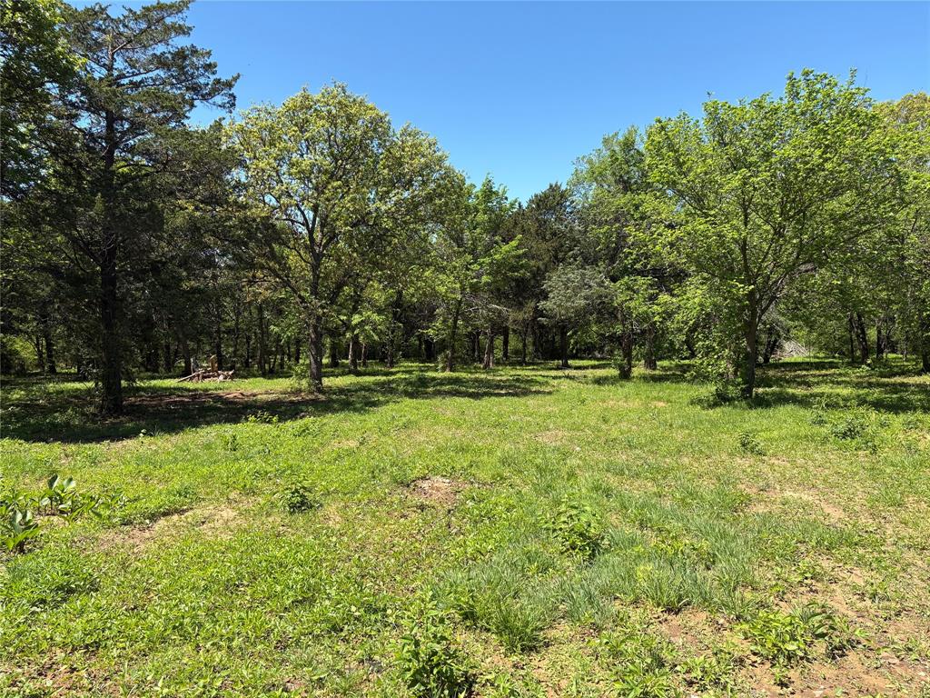 1 B County Road 167 Road Whitesboro, TX 76273 - Photo 4 of 10 a view of outdoor space with deck and yard